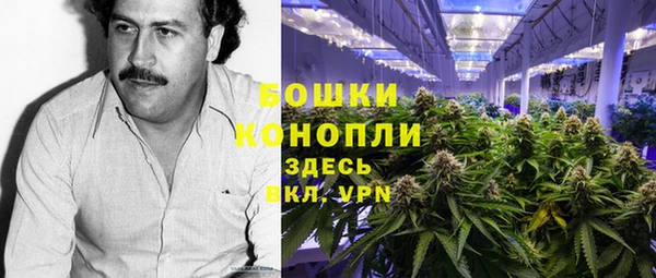 твердый Верхний Тагил