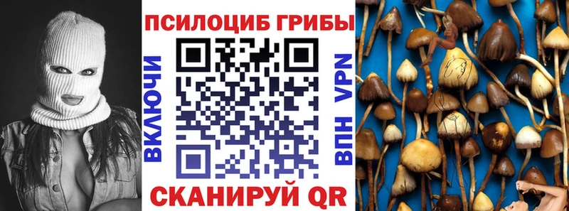 Псилоцибиновые грибы Psilocybe  наркота  Ивангород 